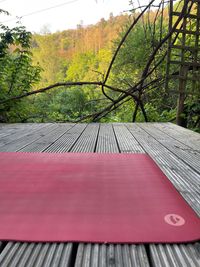 Yoga Retreat in Alhausen